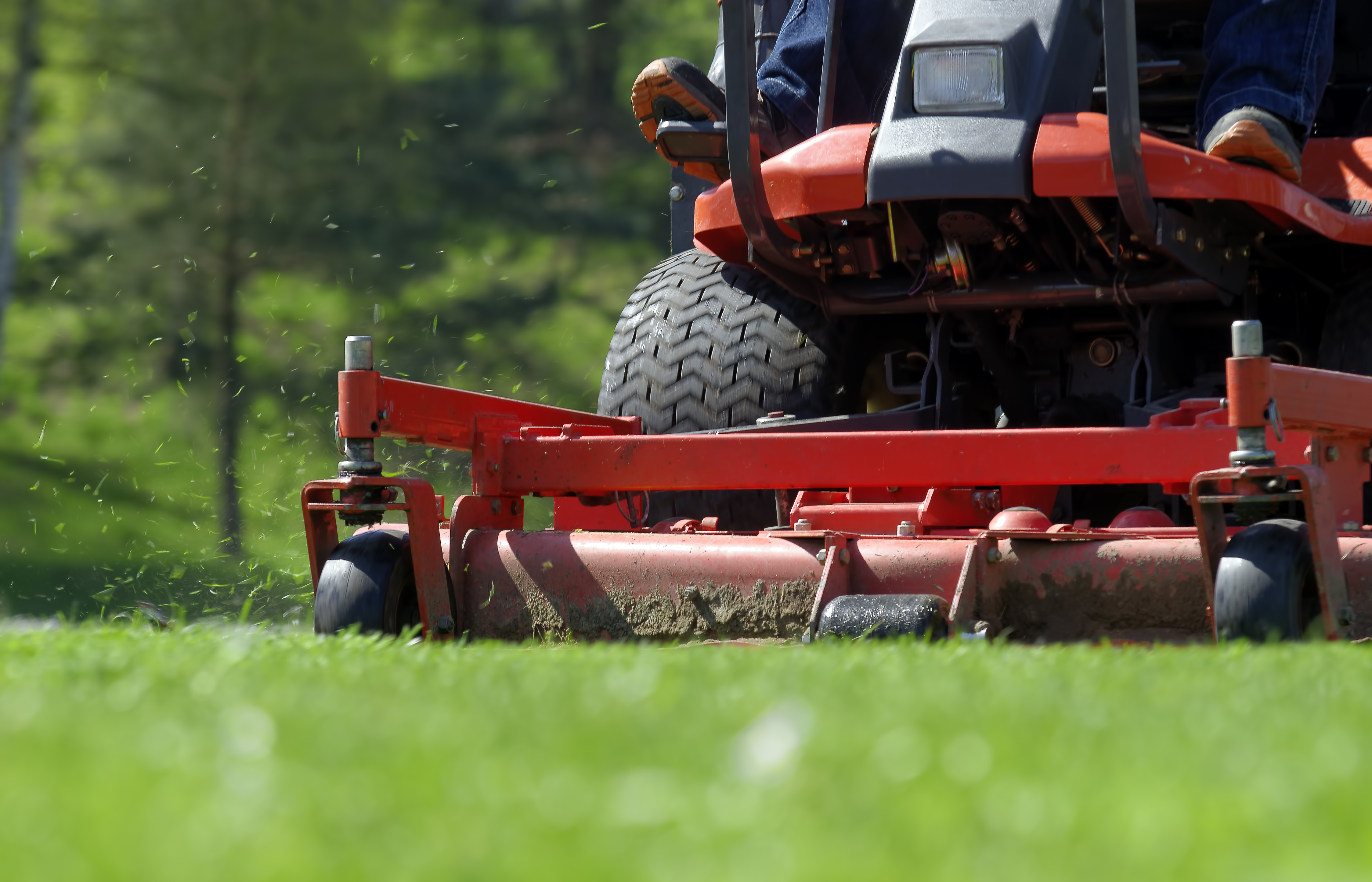 Anytime Lawn Care Dothan's Choice for Lawn care & Landscaping