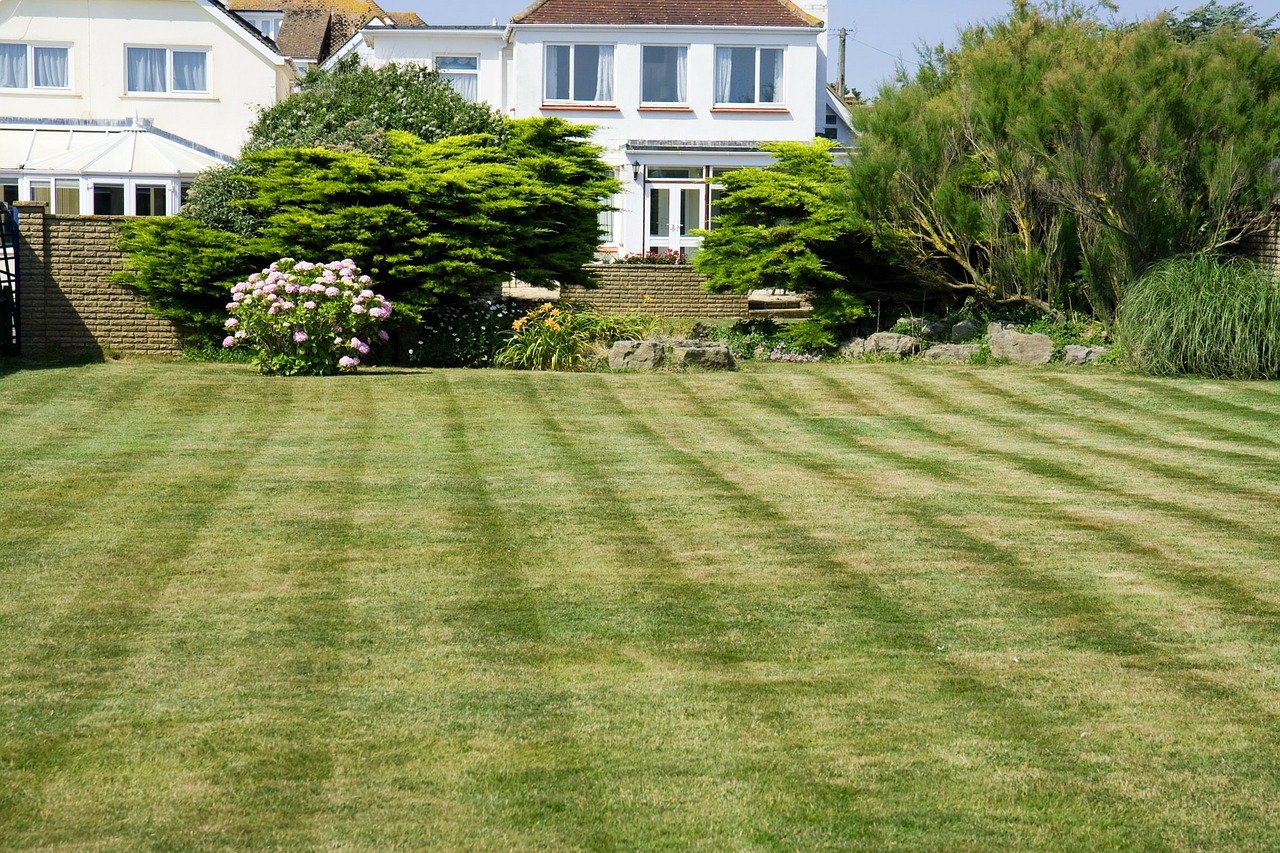 backyard lawn care anytime lawn care